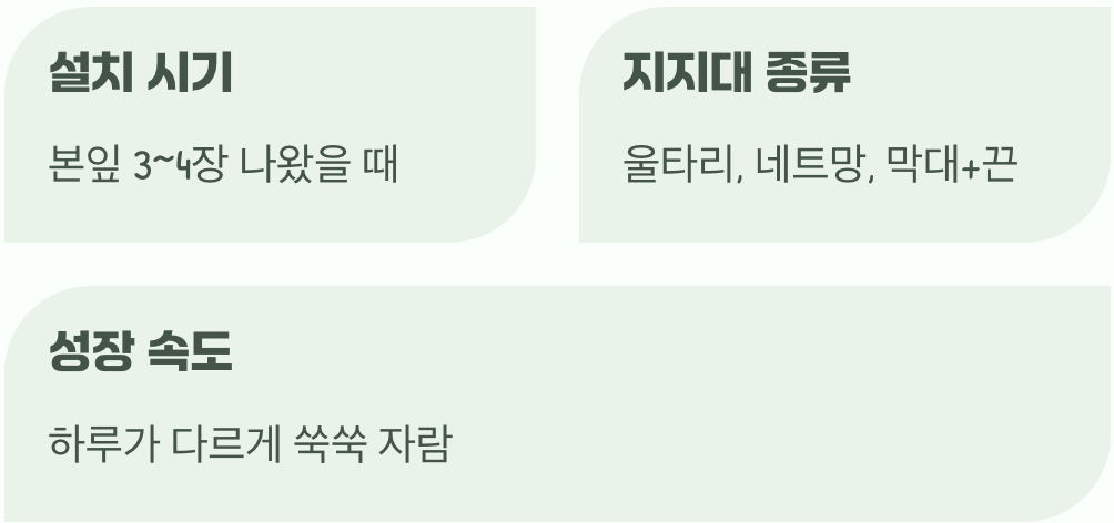 타고 올라갈 길 만들어주기