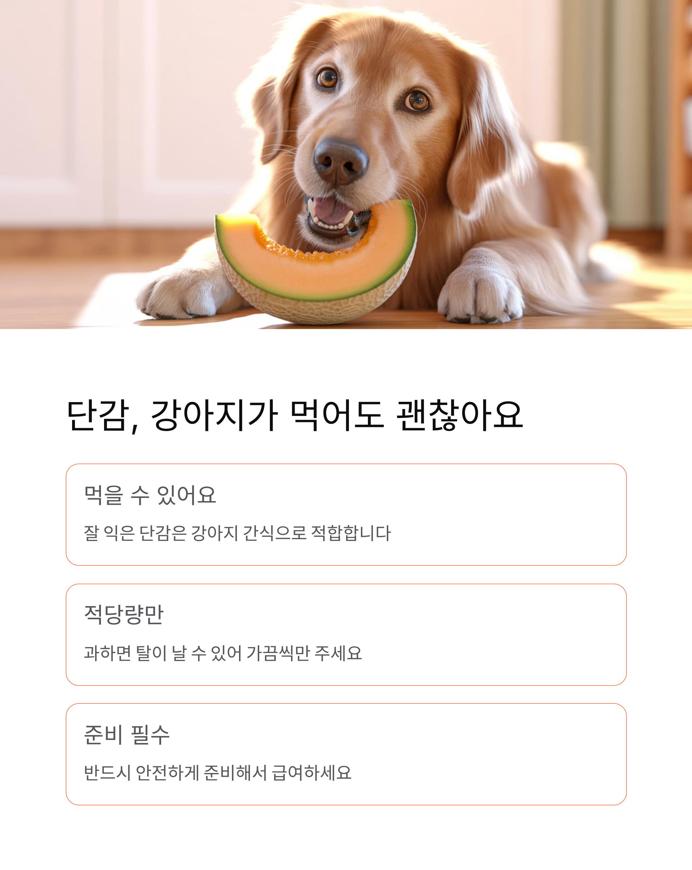 강아지 단감 먹어도 될까? 안전한 급여법과 주의사항 완전 정리 🍊