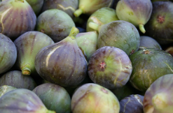 전남 영암 무화과 주문 방법