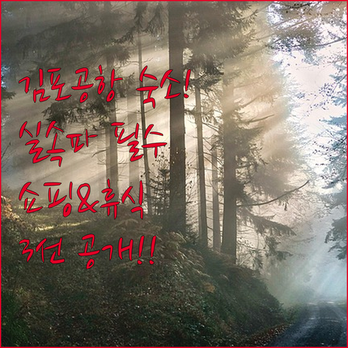 쇼핑과 휴식 모두 잡는 김포공항 숙소..