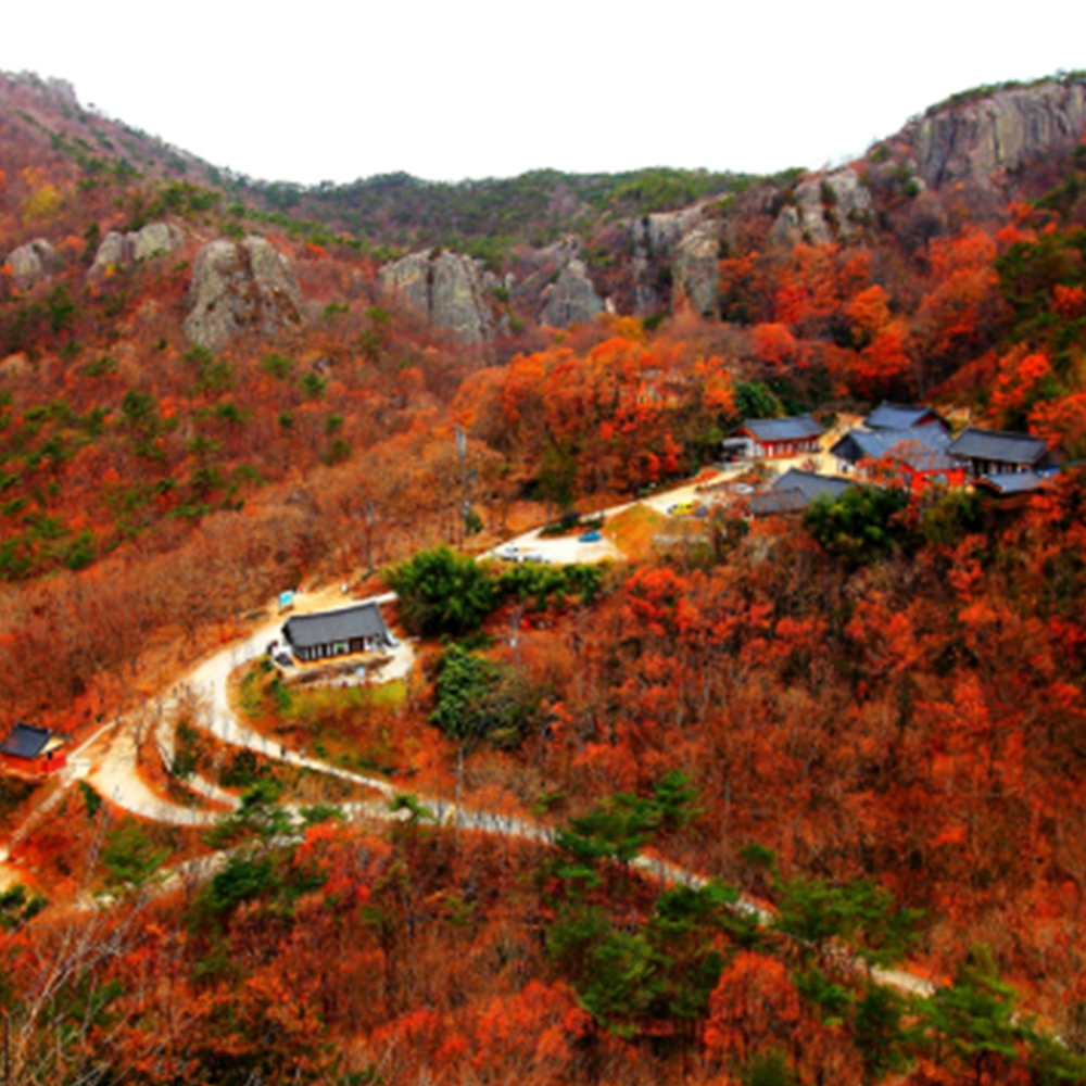 덕유산 단풍 절정시기