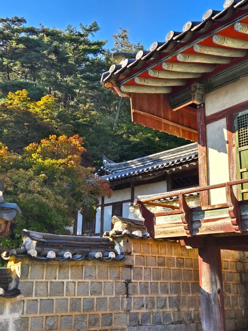 Dosanseowon Confucian Academy nature, 도산서원 자연