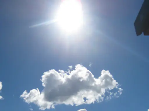 면역력-높이는-방법-면역력에-좋은-차-건강