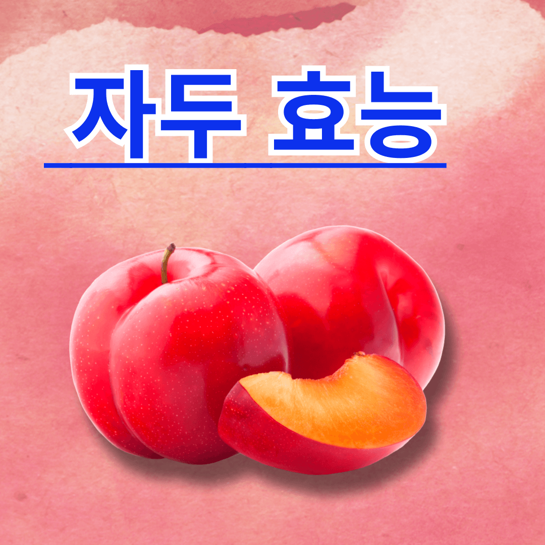 자두 효능