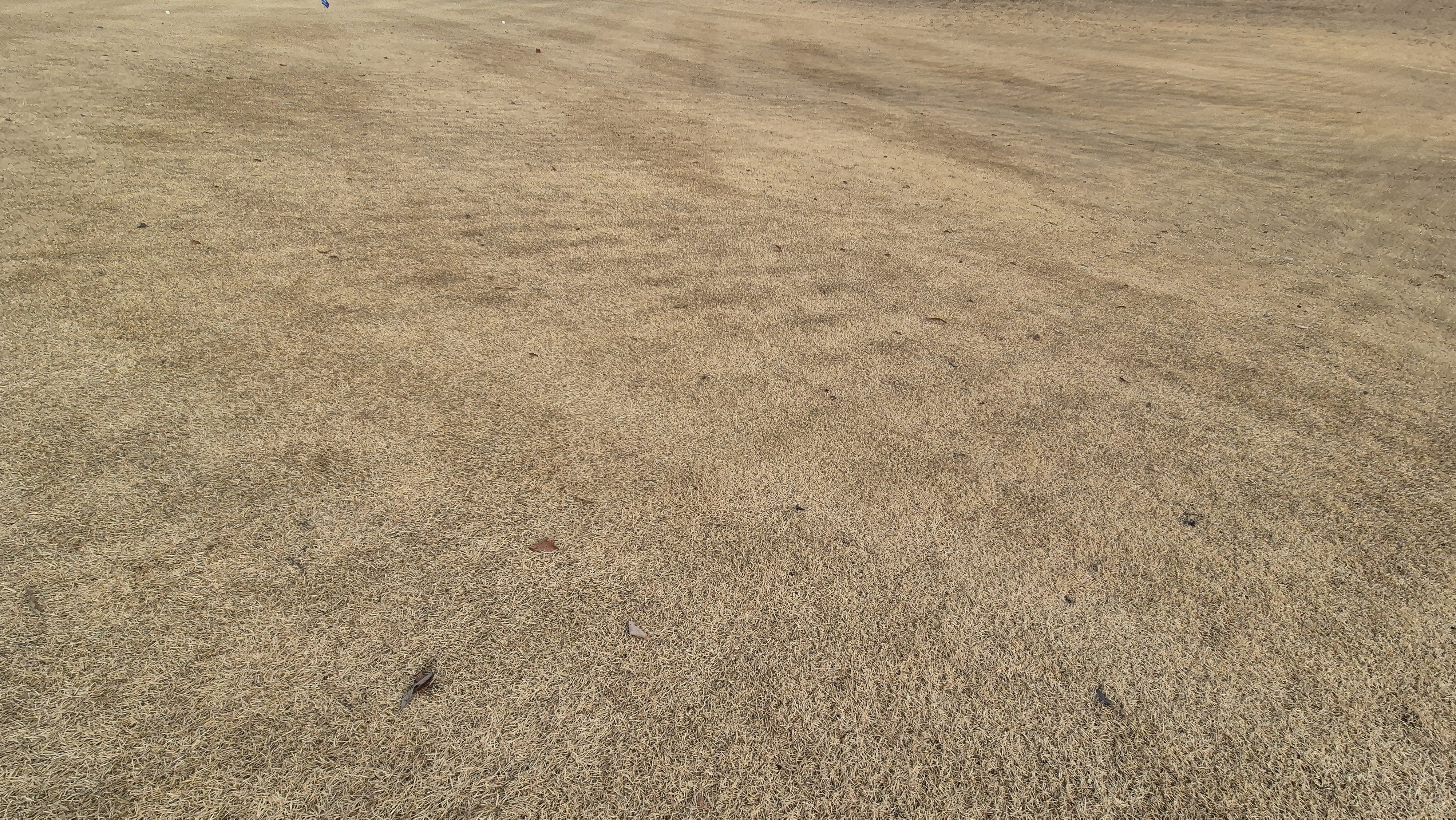 모나크cc 라운드 후기 코스관리상태