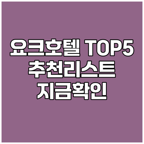 요크 호텔 고민 끝 TOP 5 추천 