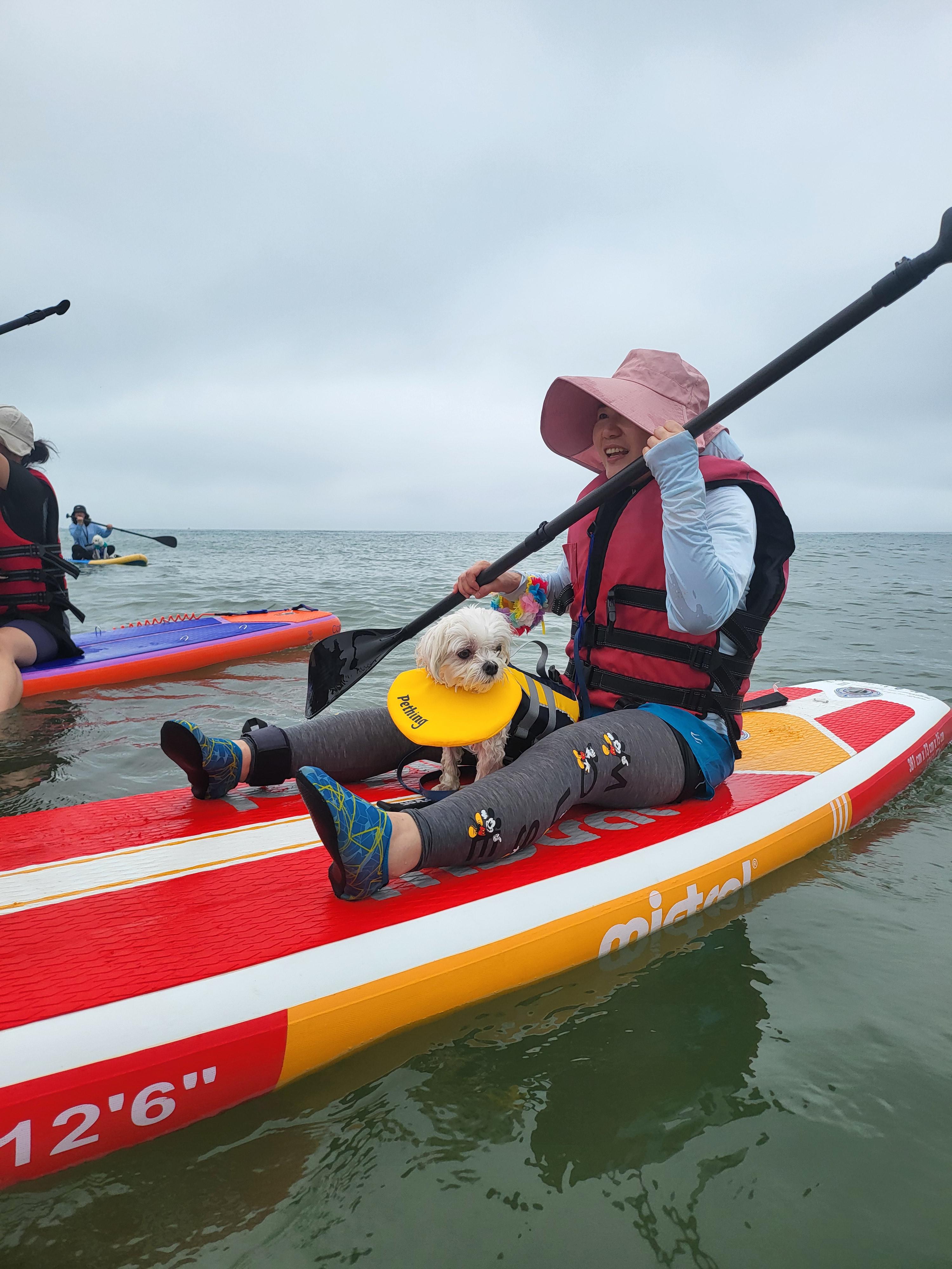 태안 패들보드 체험중