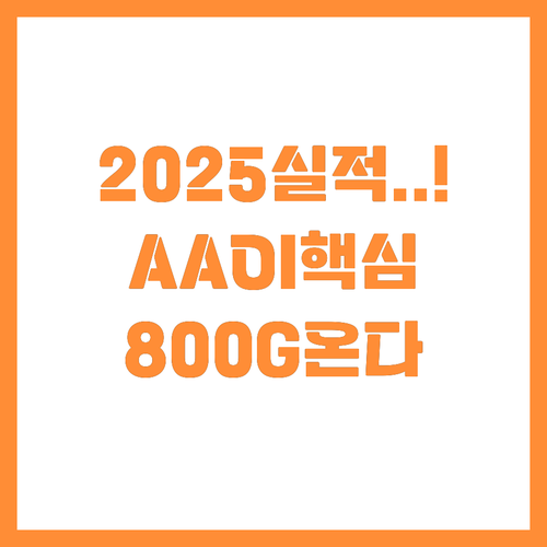 AAOI 2025년 실적 가시성 확보..