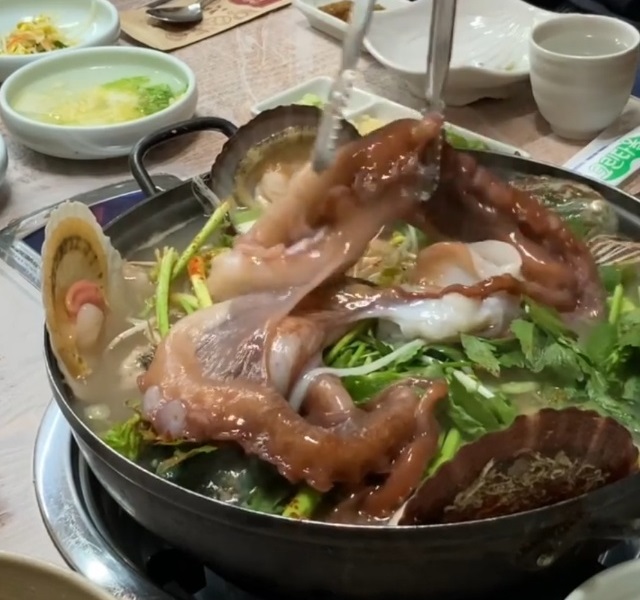 백반기행-삼척-문어해물탕-일품해물탕-김미려