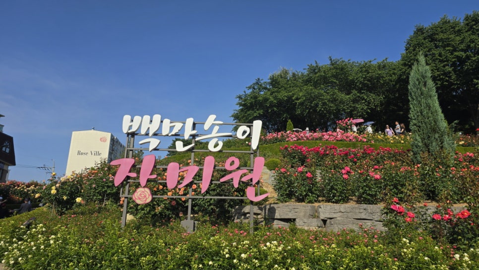 부천백만송이장미축제