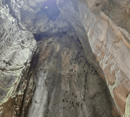 겨울 동남아 해외여행지 베트남 다낭