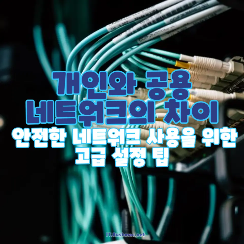 공용 네트워크 vs. 개인 네트워크