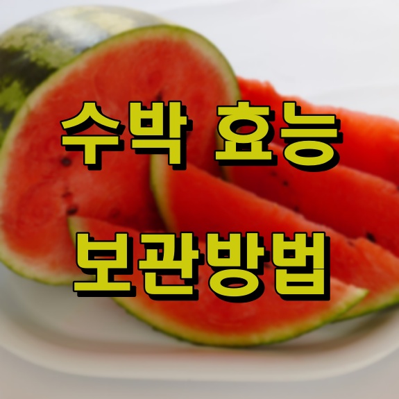 수박에 대해서 알아보자