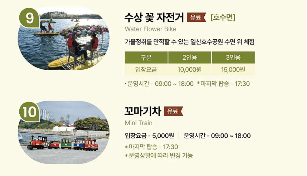 고양 가을꽃축제 실외전시