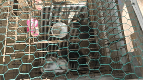 [6시 내고향] 신안 자은도 수석정원 세계조개박물관&amp;#44; 천사섬 캠핑 글램핑장 정보