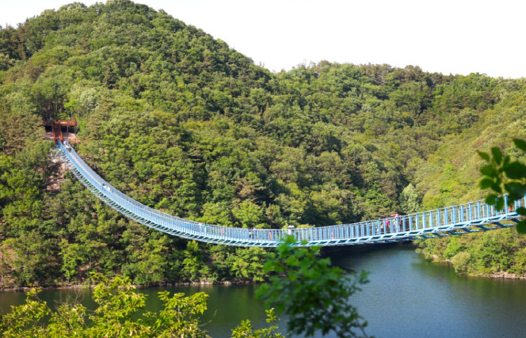 진천 출렁다리