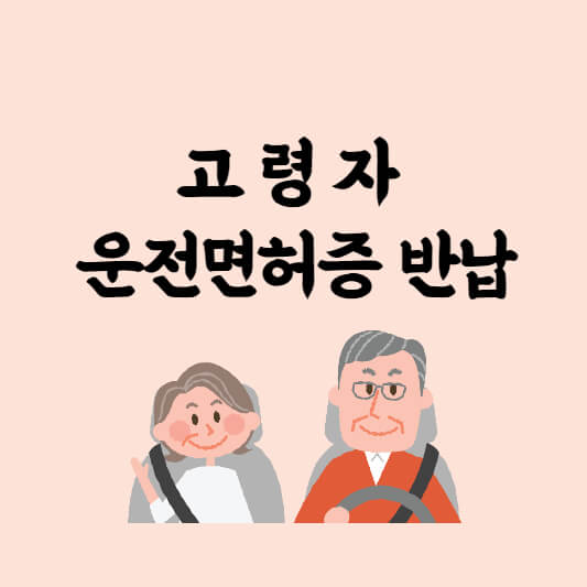 고령자-운전면허-반납-섬네일