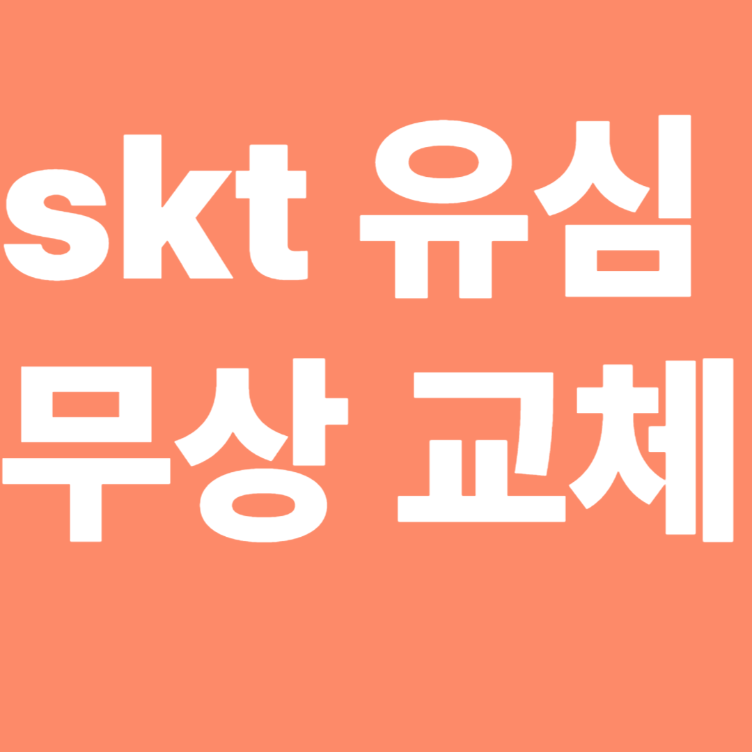 SKT 유심 무상 교체
