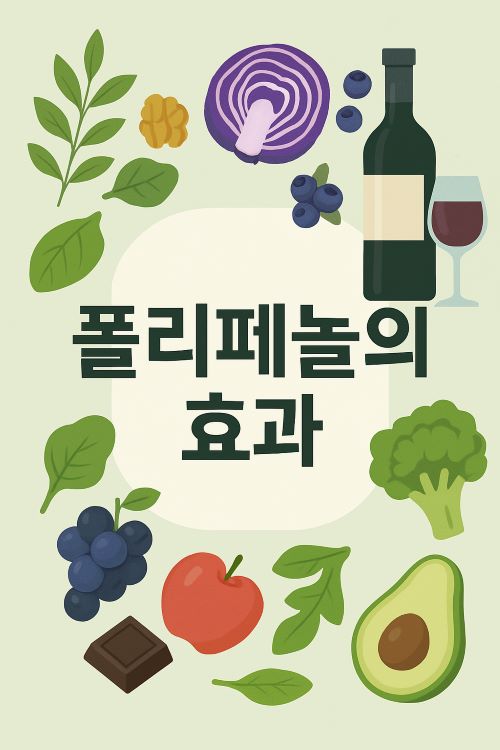 폴리페놀의 효과