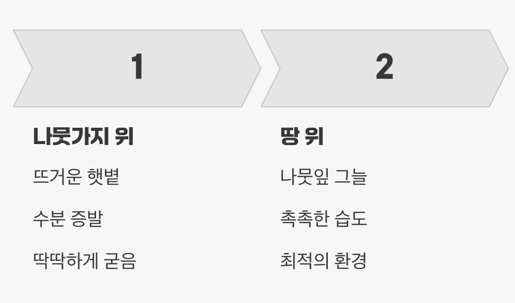 햇볕을 피하는 지혜