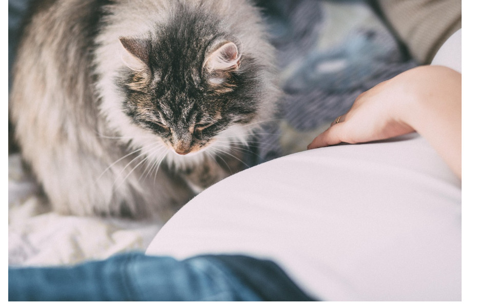 레이저치료 vs 연고치료 (제왕절개 흉터관리 비교)