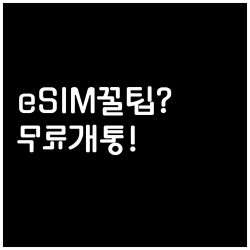 eSIM 지원폰 확인부터 개통까지 알..