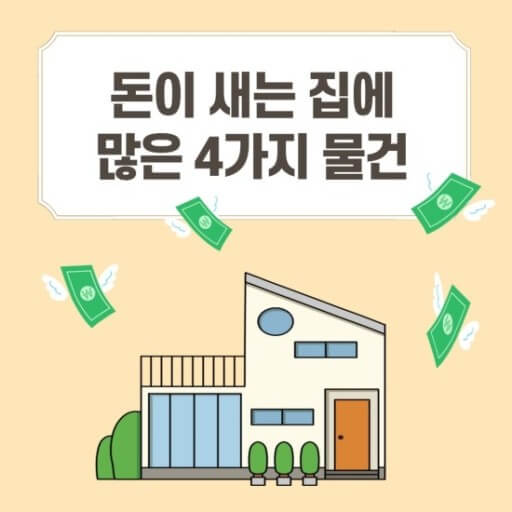 돈 새는 집