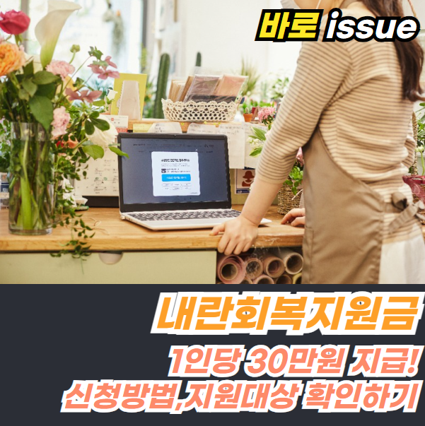 내란회복지원금-신청방법-지원금액-지급대상-정보