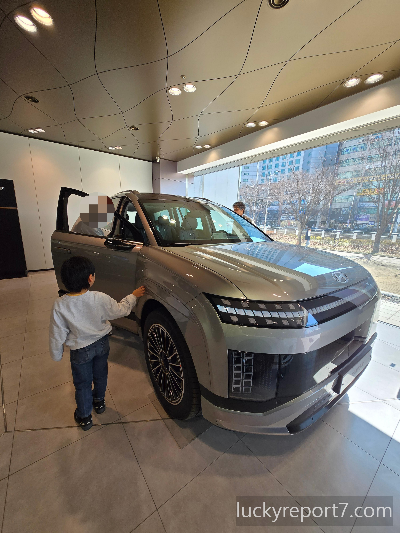 아이오닉9-셀라돈그레이메탈릭-실물색상