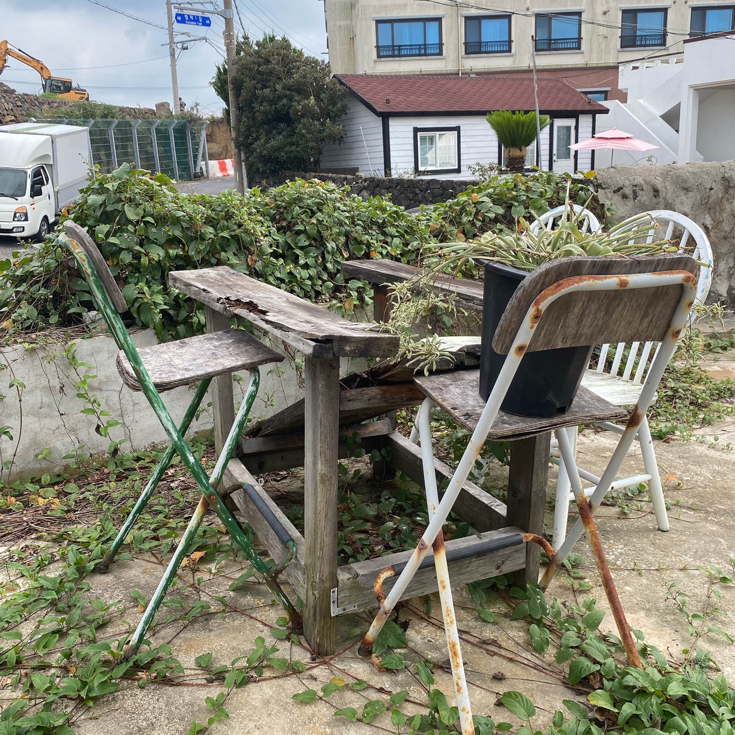 제주 한림 협재포구 협재해수욕장 카페 뚜이 cafe tui 주차 추천 리뷰 플랫화이트 뉴질랜드 고려대 카페