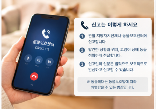 고양이 학대가 의심될 때 어떻게 해야 할까? 발견부터 신고까지 알아두기
