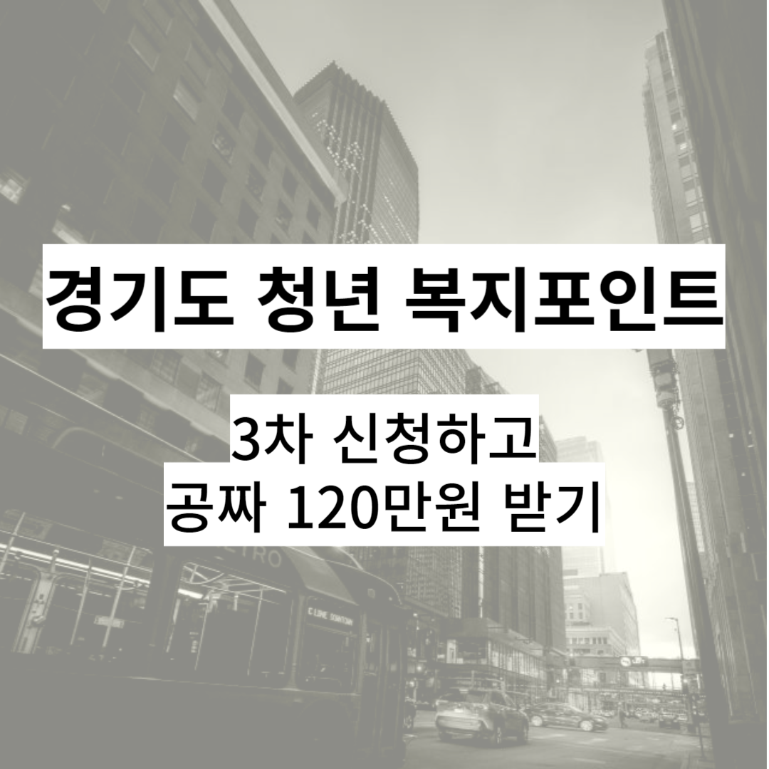 경기도 청년 복지포인트