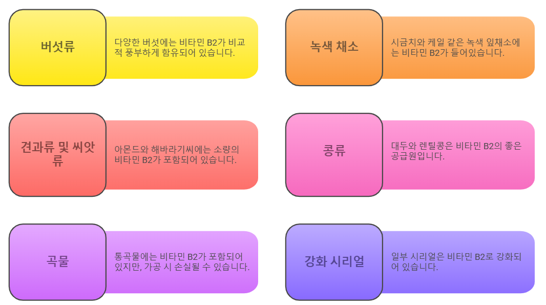 비타민 B2 함유 음식