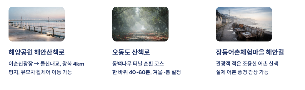 여수 근교 산책 달리기 트레킹 코스 추천 ❘ 바다와 숲을 동시에 즐기는 방법