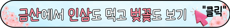 가평 에덴벚꽃길 벚꽃 축제