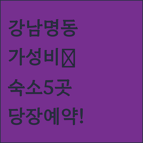 서울 강남 명동 가성비 숙소 추천 5..