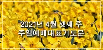 4월 기도문 모음 대표 기도문 추천 10선_8