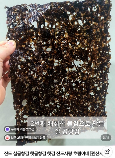 진도-물김-진도사랑호림이네