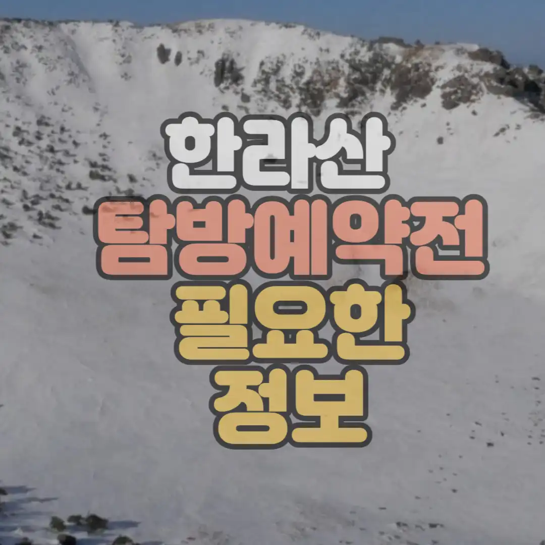 한라산 탐방예약 하단 썸네일