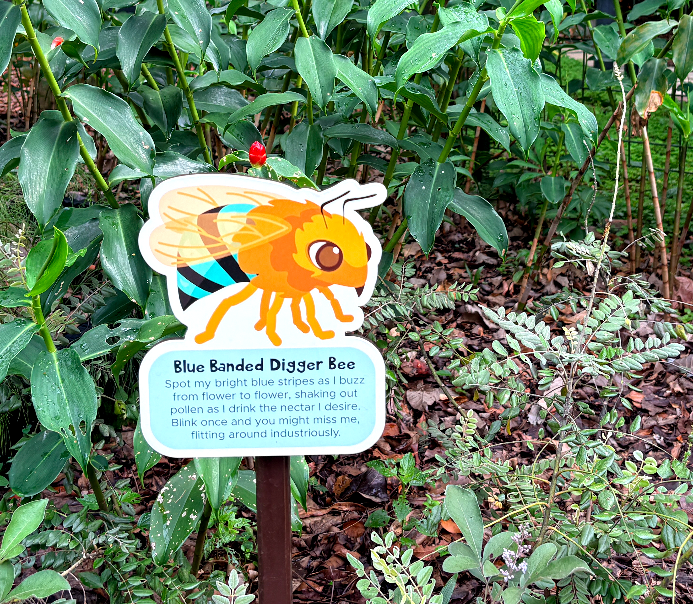  제이콥 발라스 어린이 정원 Grow Section 수분 매개자 정원(Pollinator Garden) 패널