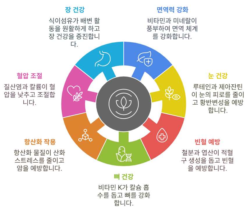 시금치 효능