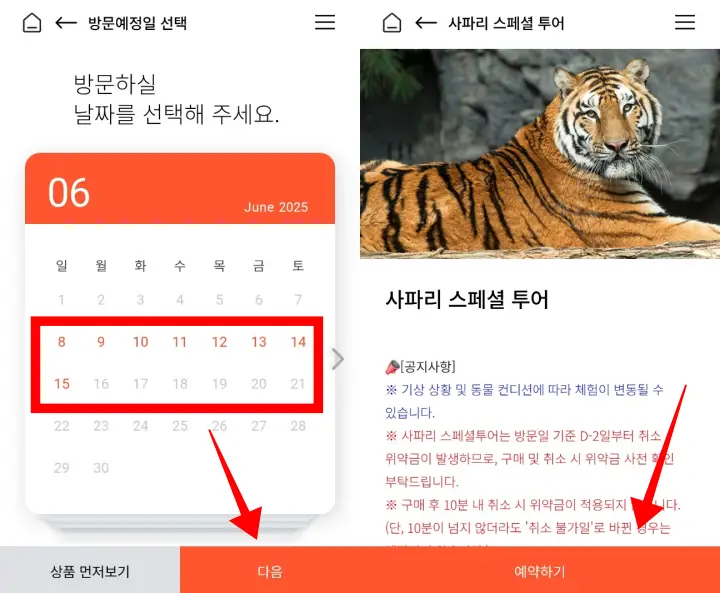 사파리-스페셜-날짜선택-예약하기