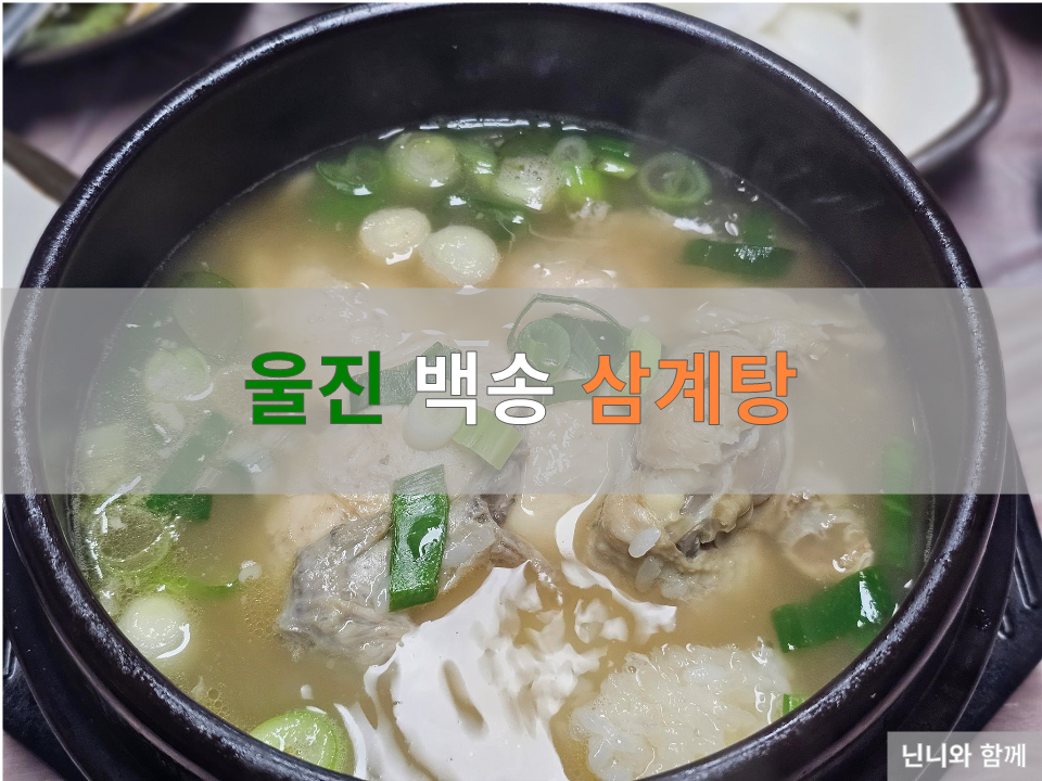 울진 백송 삼계탕