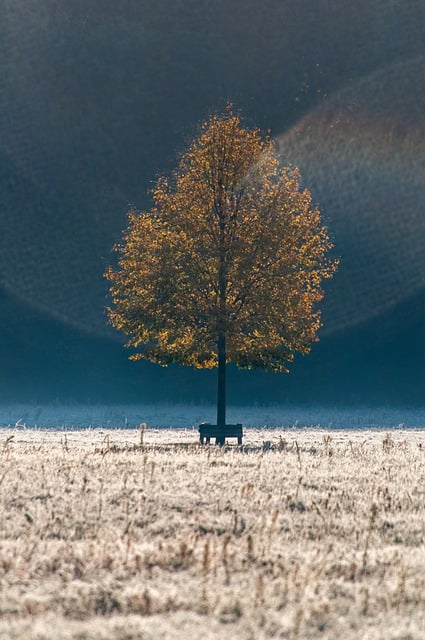 전국 날씨 예보 최저 기온 추위 눈 전망 정보