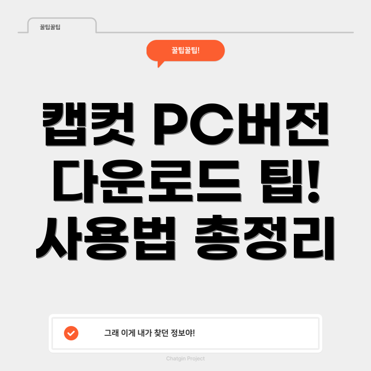 캡컷 PC 버전