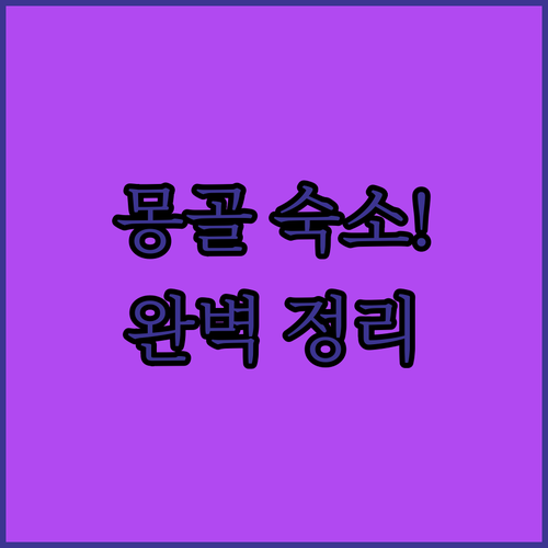 울란바토르 여행 숙소 추천 수영장부터..