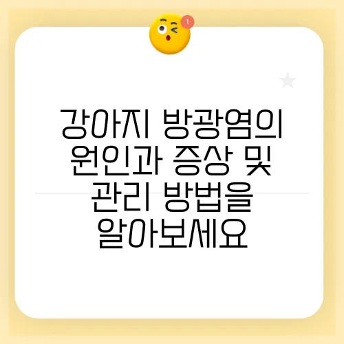 강아지 방광염의 원인과 증상 및 관리 방법을 알아보세요