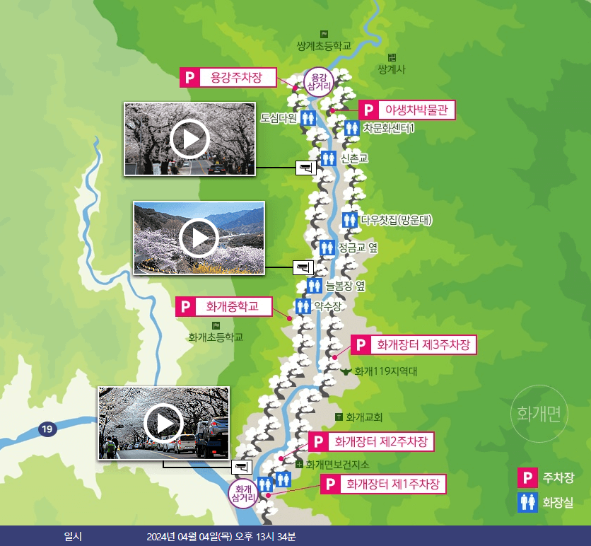 하동-십리벚꽃길-CCTV-캡쳐-사진