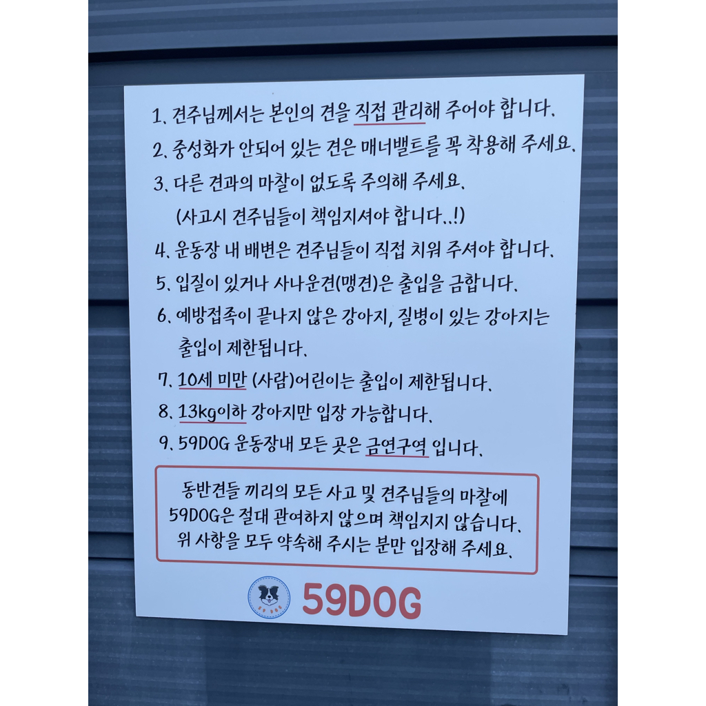 부산 애견 카페
