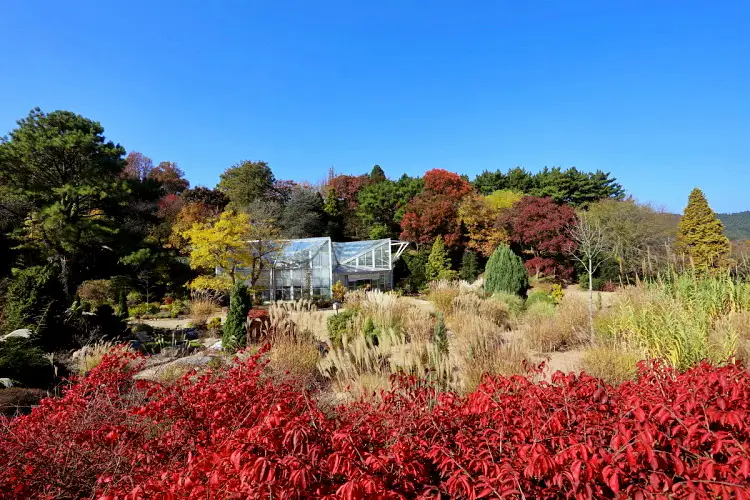 신계숙의 맛터싸이클 다이어리 한국 최초의 사립 수목원 태안 여행 코스와 펜션 숙박 가볼만한 곳 추천